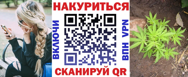 даркнет сайт Курск Бошки марихуана Ganja